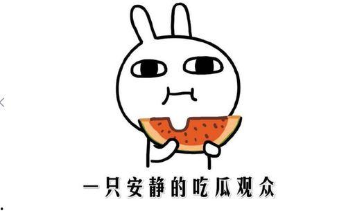 娱乐吃瓜酱分手语录搞笑,笑料百出，揭秘明星分手背后的搞笑瞬间